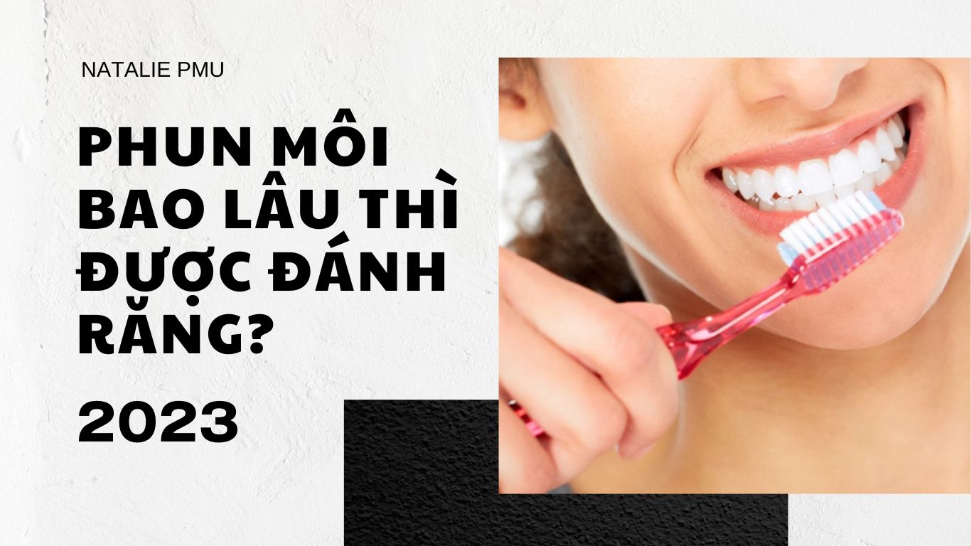 Phun Môi Bao Lâu Thì Được Đánh Răng? Cách Vệ Sinh Răng Miệng Đúng Cách? 